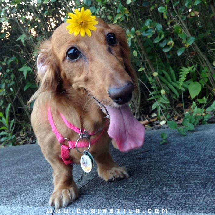 20251024-1eljm 20251024-1eljm