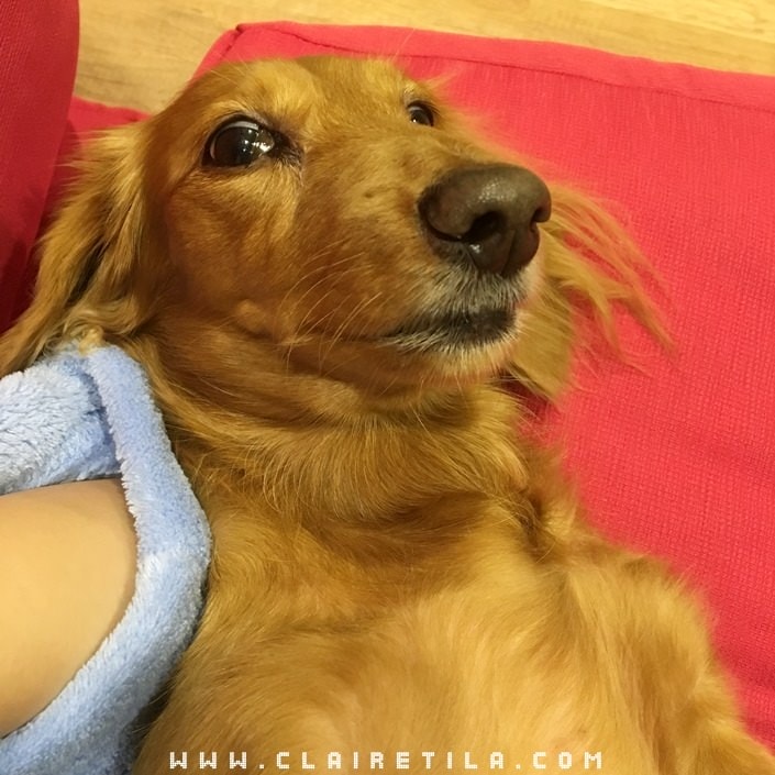 20251024-1poh7 20251024-1poh7