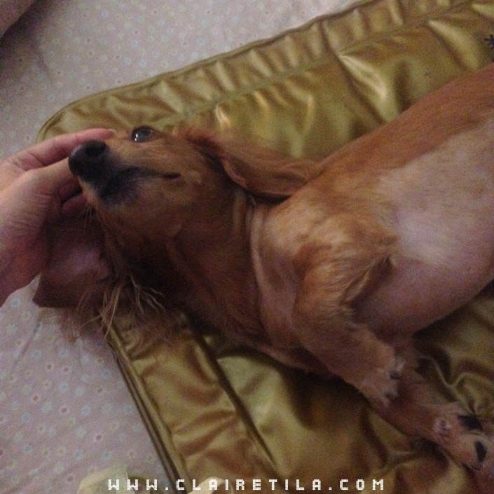 20251024-29q31 20251024-29q31