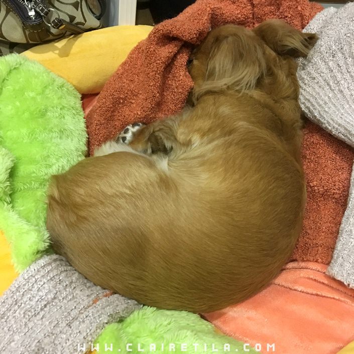 20251024-2zbyt 20251024-2zbyt