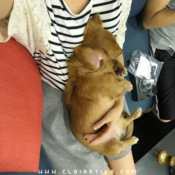 20251024-2zx8o 20251024-2zx8o