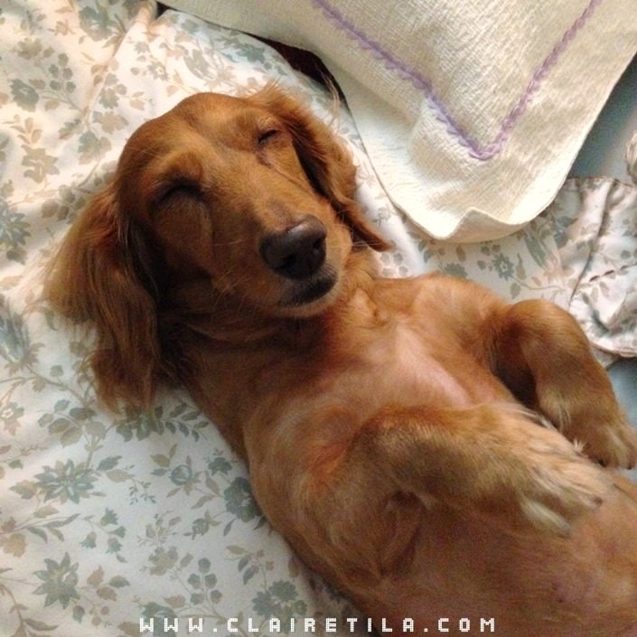 20251024-39gtm 20251024-39gtm