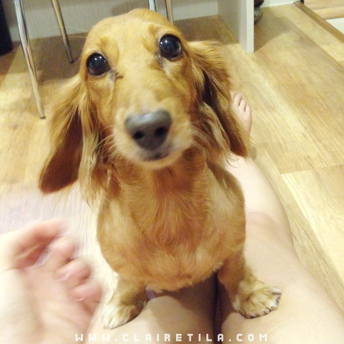 20251024-3eh0e 20251024-3eh0e