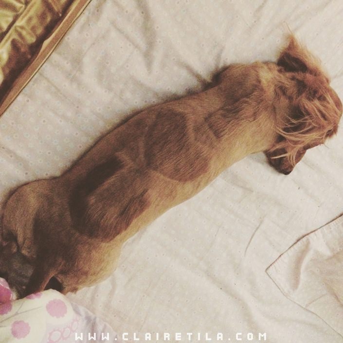 20251024-3w0ob 20251024-3w0ob