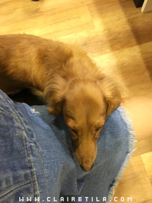 20251024-504si 20251024-504si