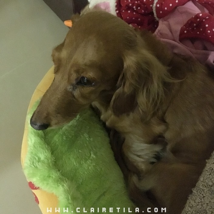 20251024-5acqp 20251024-5acqp