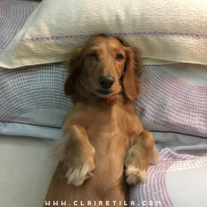 20251024-5pjzs 20251024-5pjzs