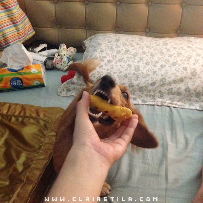 20251024-5x9x2 20251024-5x9x2