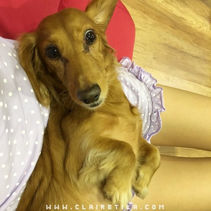 20251024-5zjat 20251024-5zjat