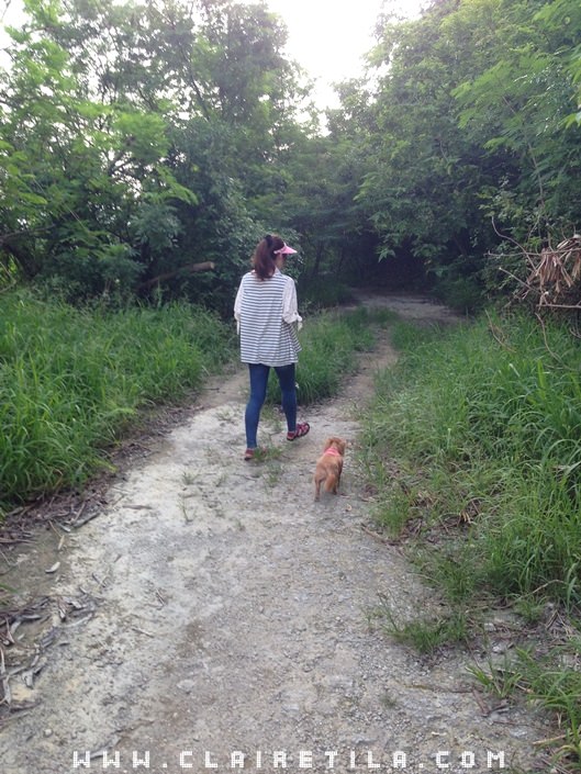 20251024-660qv 20251024-660qv