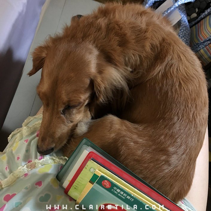 20251024-6ji24 20251024-6ji24