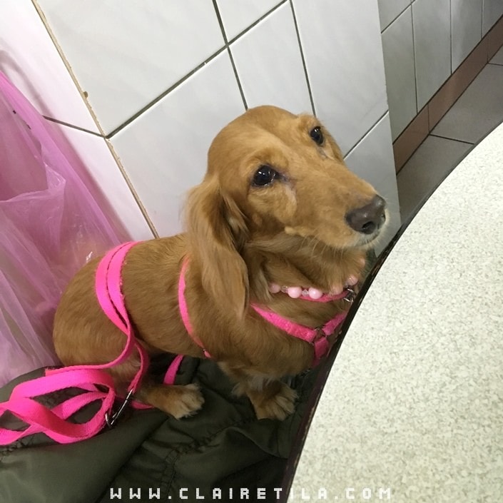 20251024-6wq6e 20251024-6wq6e