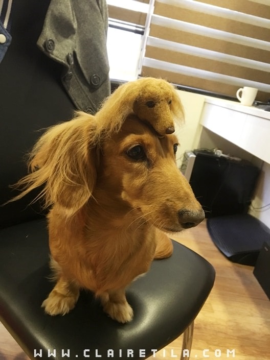 20251024-7ha77 20251024-7ha77