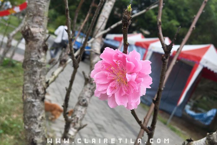 20251024-7qsol 20251024-7qsol