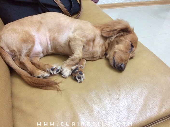 20251024-8uemi 20251024-8uemi