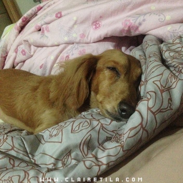 20251024-9fo9v 20251024-9fo9v