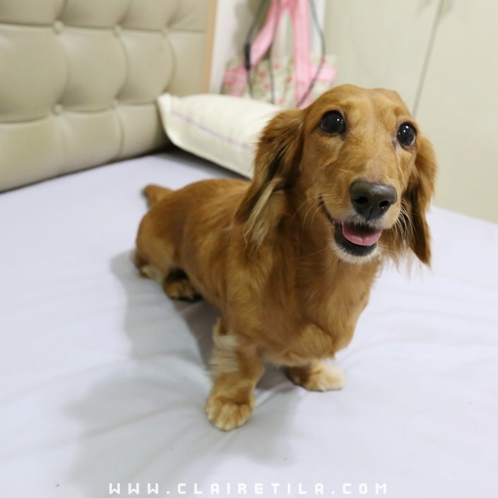 20251024-9jd2f 20251024-9jd2f