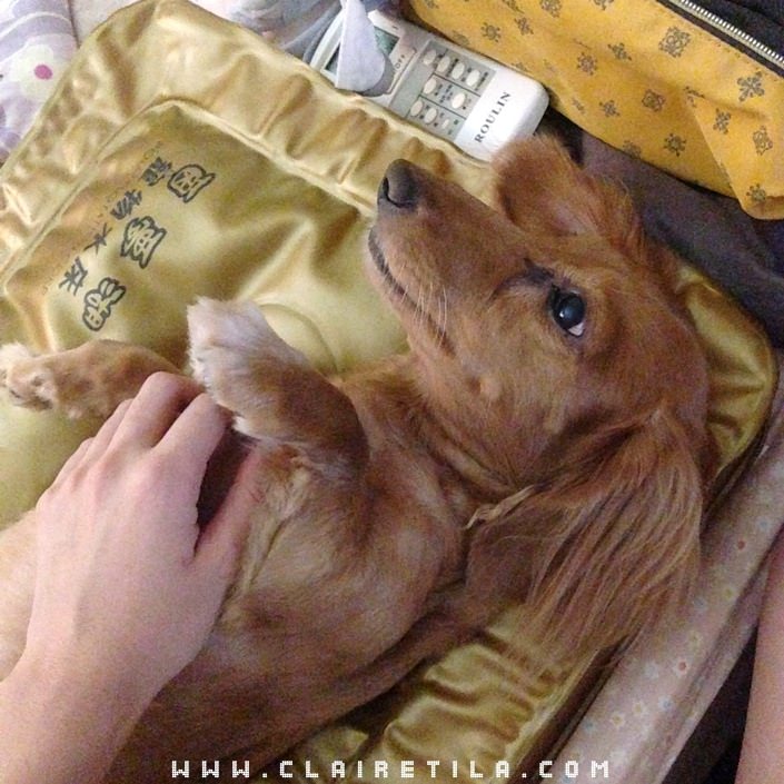 20251024-a7xbo 20251024-a7xbo