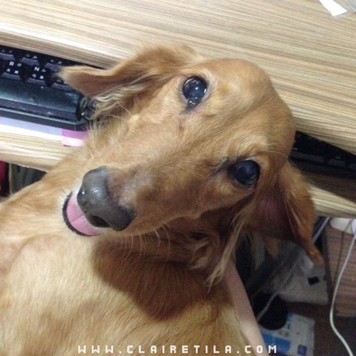 20251024-almch 20251024-almch