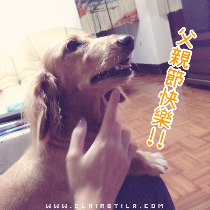 20251024-b41zu 20251024-b41zu