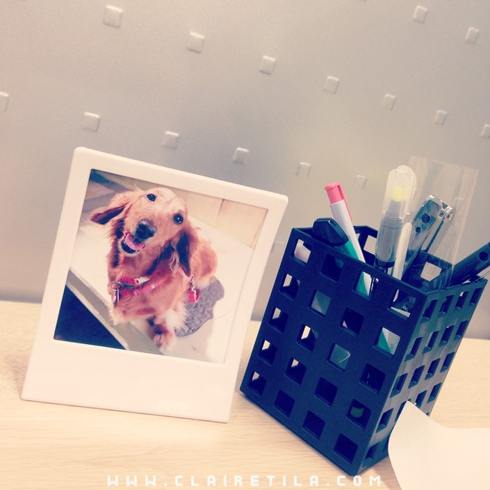 20251024-bfkhg 20251024-bfkhg