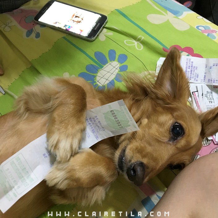 20251024-byr1k 20251024-byr1k