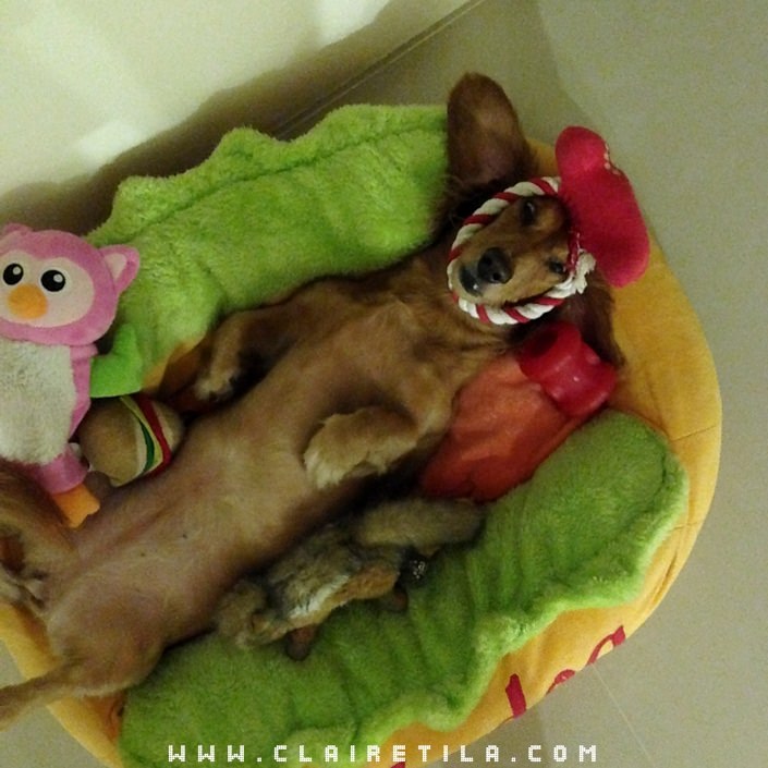 20251024-c1fzm 20251024-c1fzm