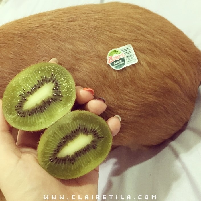 20251024-dzwoc 20251024-dzwoc