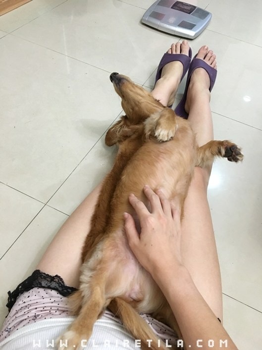 20251024-e7i48 20251024-e7i48