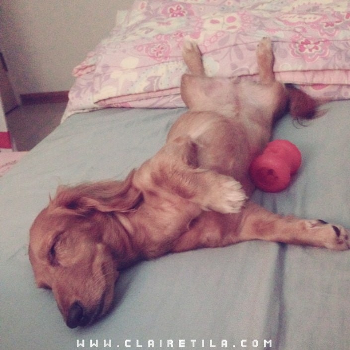 20251024-eipcp 20251024-eipcp