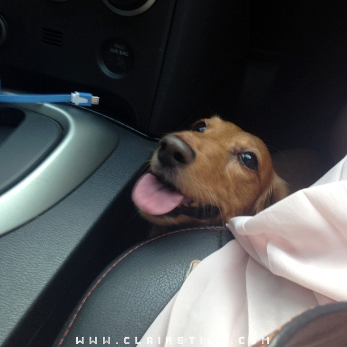 20251024-eq2zj 20251024-eq2zj