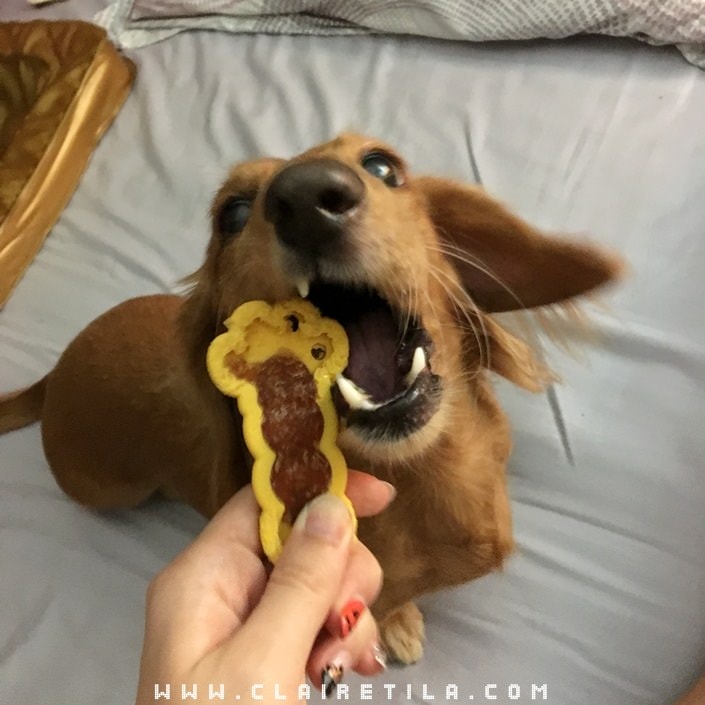 20251024-fhtbz 20251024-fhtbz