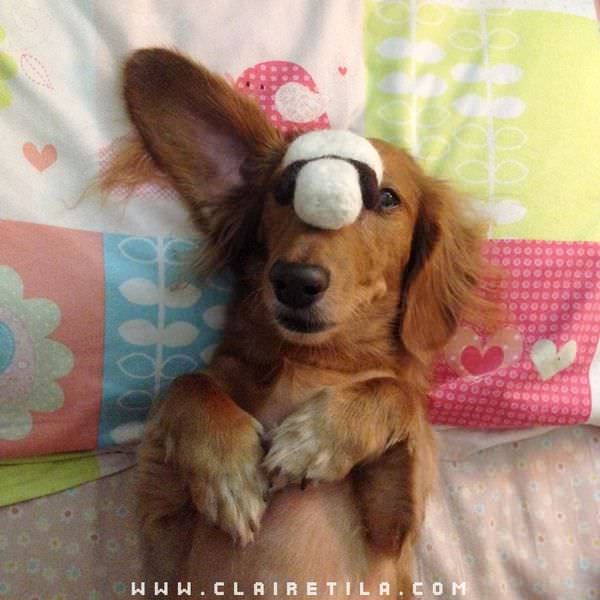 20251024-gdcae 20251024-gdcae