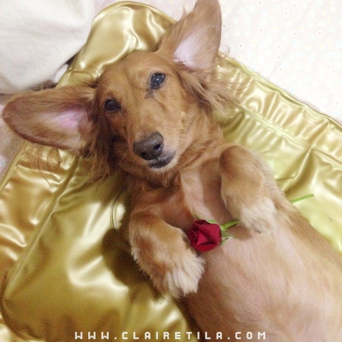 20251024-gybsa 20251024-gybsa