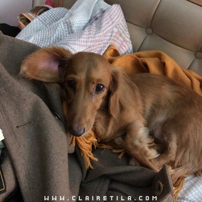 20251024-h2rjf 20251024-h2rjf