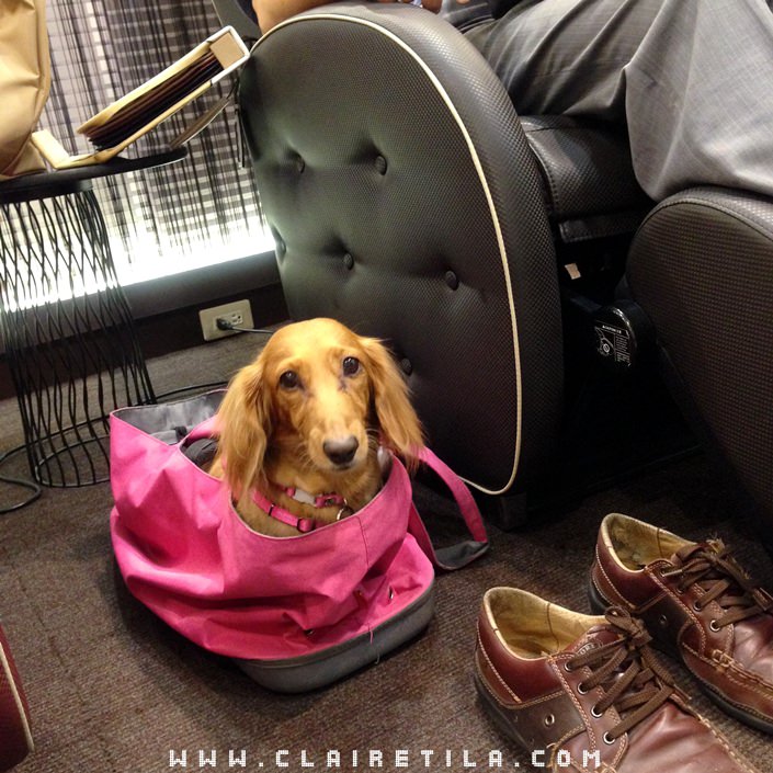 20251024-h84qi 20251024-h84qi