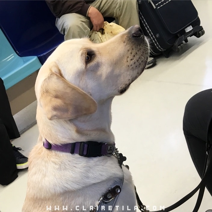 20251024-i4ius 20251024-i4ius