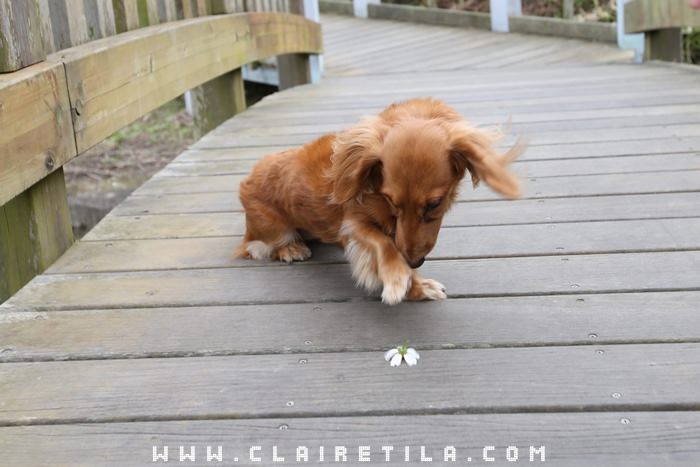 20251024-il1n5 20251024-il1n5