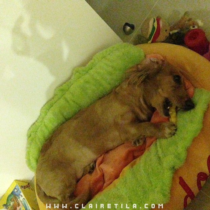 20251024-l0awr 20251024-l0awr