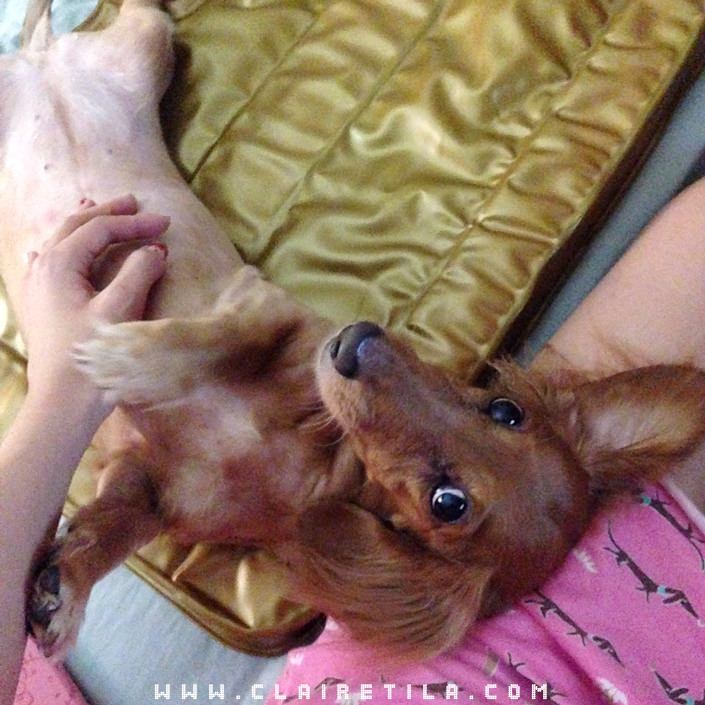 20251024-m5tax 20251024-m5tax