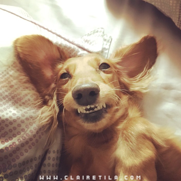 20251024-md2wn 20251024-md2wn