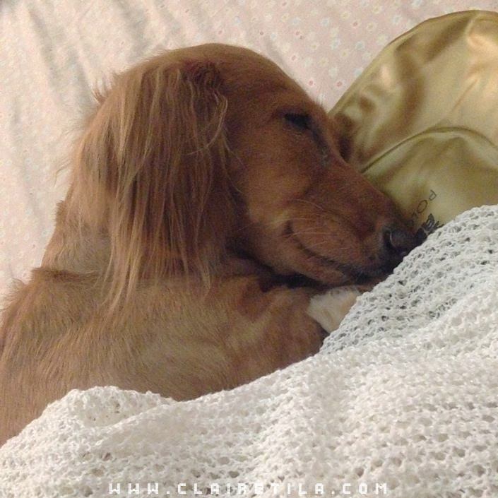 20251024-mkf0x 20251024-mkf0x