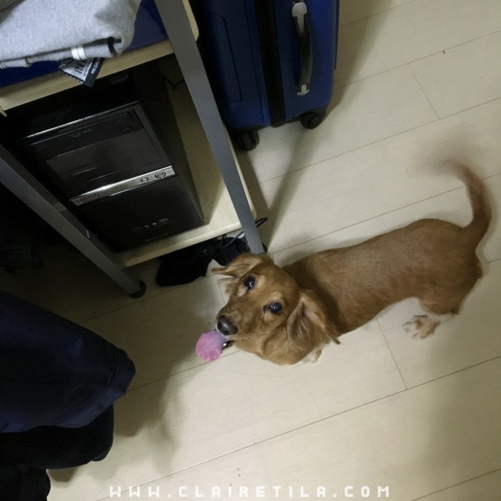 20251024-mvk9e 20251024-mvk9e