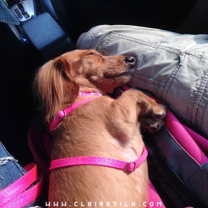 20251024-n74mb 20251024-n74mb