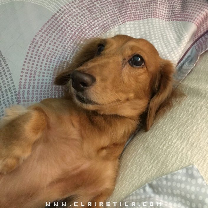 20251024-n9qvb 20251024-n9qvb