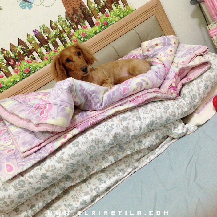 20251024-nmqq2 20251024-nmqq2