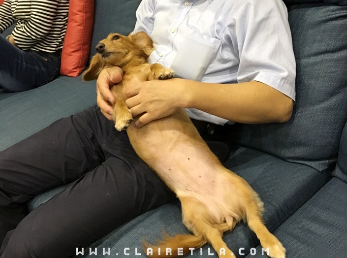 20251024-nsi4k 20251024-nsi4k