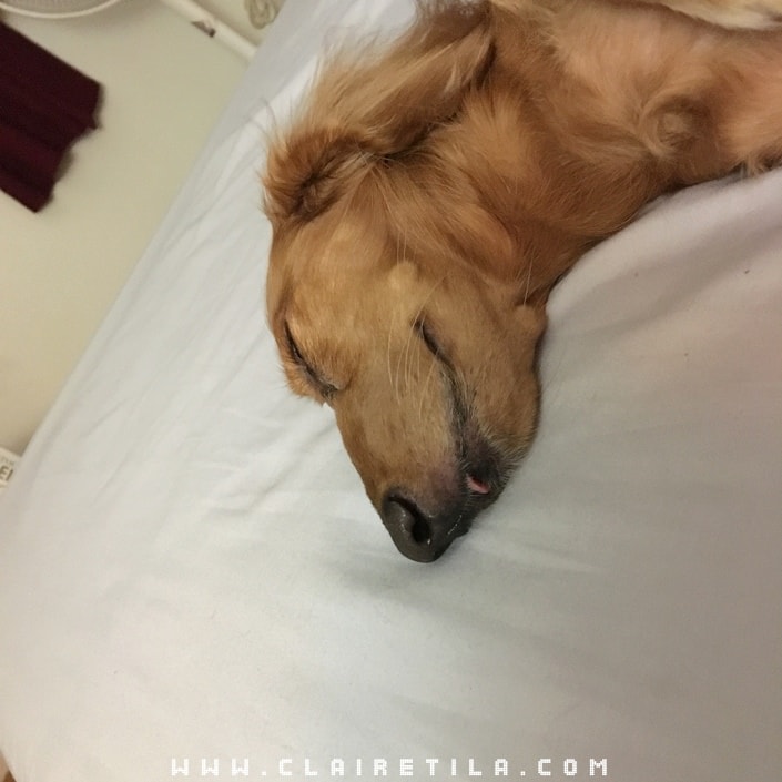 20251024-o578h 20251024-o578h