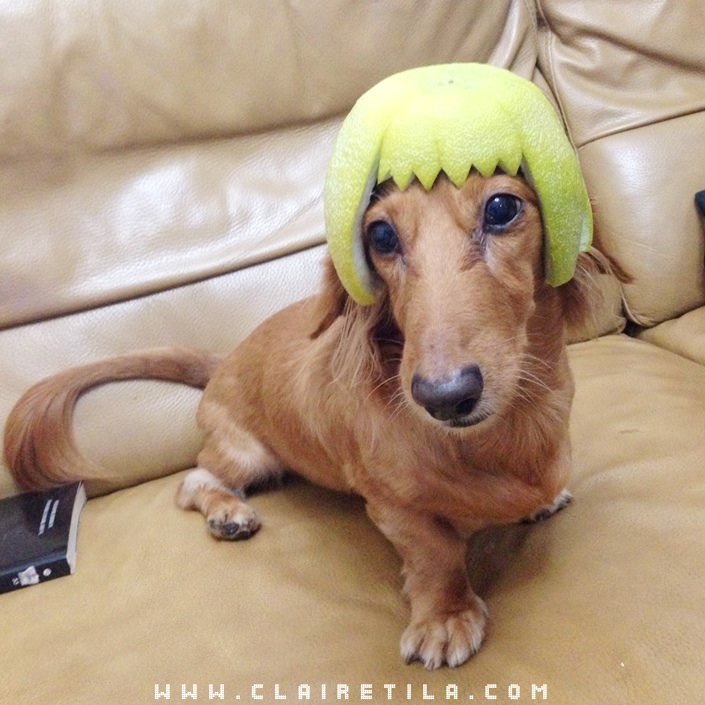 20251024-oi43w 20251024-oi43w