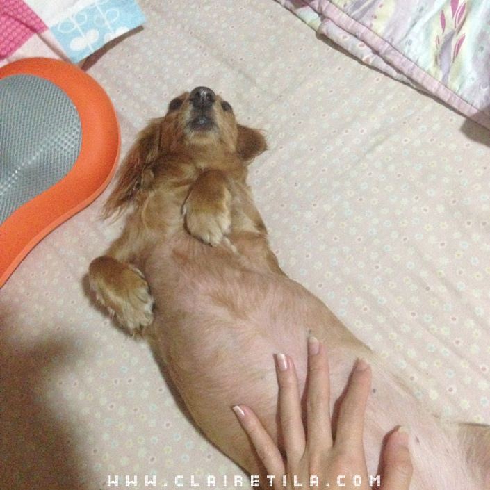 20251024-oivjc 20251024-oivjc